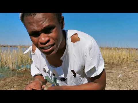 Chiwana Promo Video