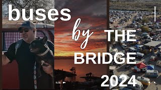 Buses by the bridge 2024 best Vw bus show in the country #vw #camping #rv #lakehavasu #vwbus