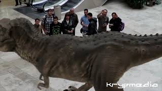 Experiential Marketing - Case Studies