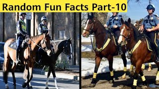 ऐस Facts ज आपक जनयस बन दग Top 35 Random Fun Facts