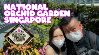 Tropical Montane Orchidetum at Singapore Botanic Gardens (National Orchid Garden)