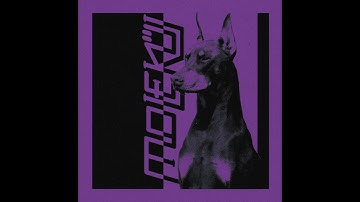 Pavel K. Novalis - Form Follows Function