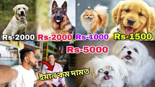 Jorhat ৰ এখন Pet Shop || ইমান কম দামত বিক্ৰী কৰে Pet