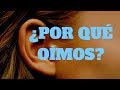 ¿POR QUÉ OÍMOS?