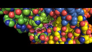 Molecular Docking by Autodock Vina in Ubuntu 20.04 | Visualization in PYMOL and PLIP.
