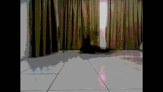 First Time Windmill B-Boy Fiee BRS Crew