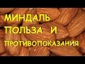 Миндаль. Польза и вред.