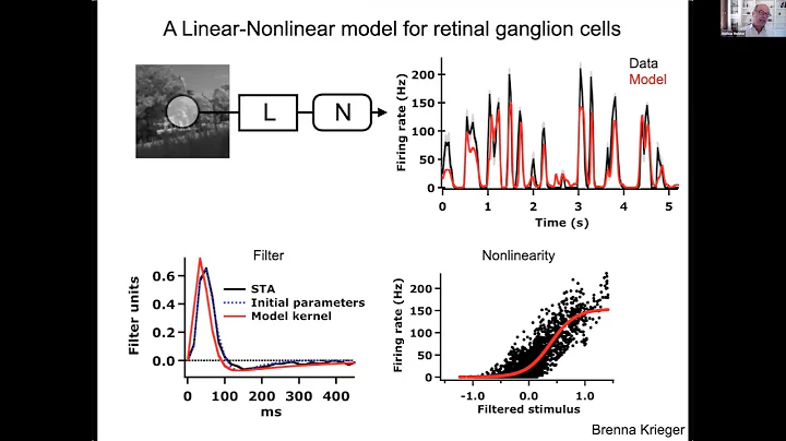 Neural Processing in the Retina: Efficient Coding ...