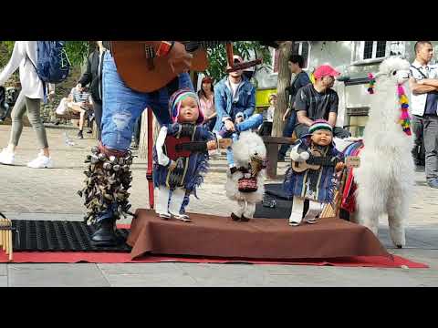 Ecuadorian Otavalo Imbabura One Man Band Busker Puppet pan flute music, real talent despacito MUSIC