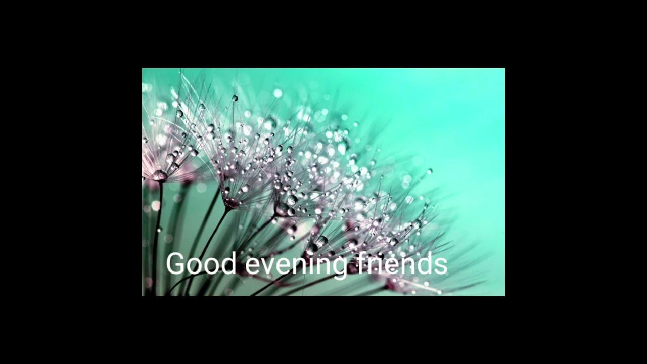 Good evening messages. ( Life is a one time offer.Live it fully. )