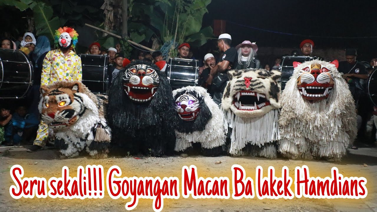 KALIAN HARUS NONTON VIDEO INI‼️ GOYANGAN MACAN BA LAKEK HAMDIANS