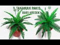 DAUN PAKIS DARI KRESEK//Tanaman Pakis Dari Kresek//how to make fern from a plastic bags//DIY