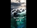 الزوارق المسيرة التقنية الجديدة في الحروب البحرية