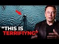 Elon Musk FINALLY Tells Us What The Navy Saw While Diving in the Arctic