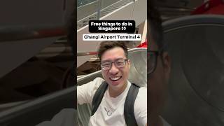 3 FREE things that you can do in Changi Airport Terminal 4 transit area!