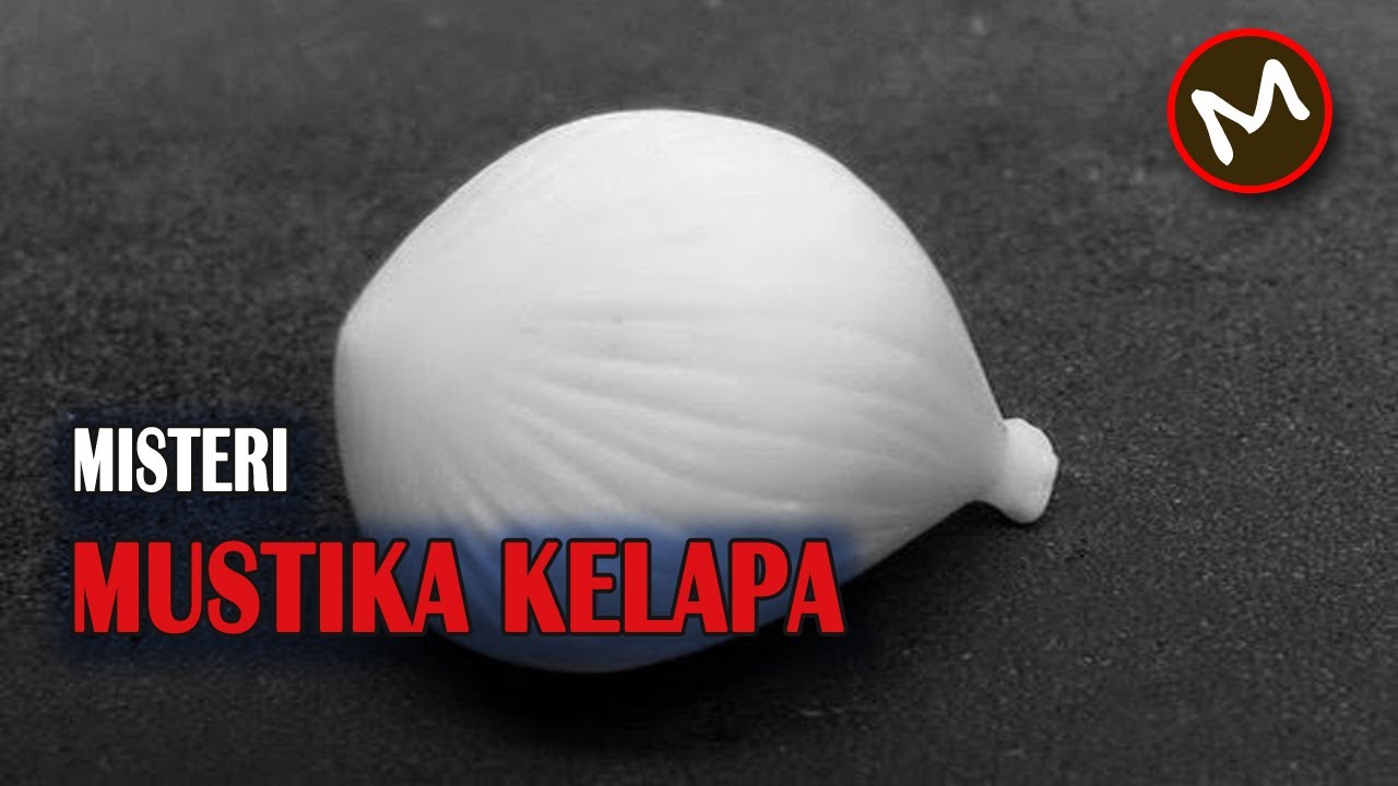  manfaat mustika Kelapa  dan cara tes mustika  kelapa  Asli 