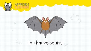 Chauves-souris, 9 idées reçues démontées - Revue Salamandre - La