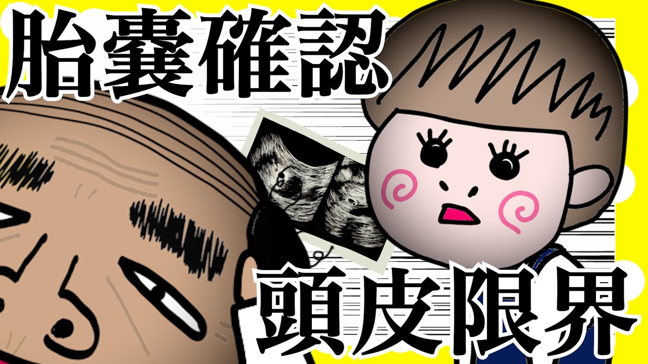 胎嚢確認で先生の頭皮が限界【アニメ】【夫婦】