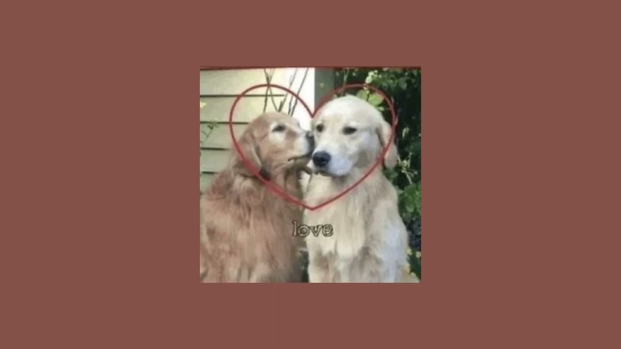 salad days - sped up + reverb