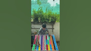 Game Challenge Sort Ball Puzzle#game #challenge #sortvideo #puzzle