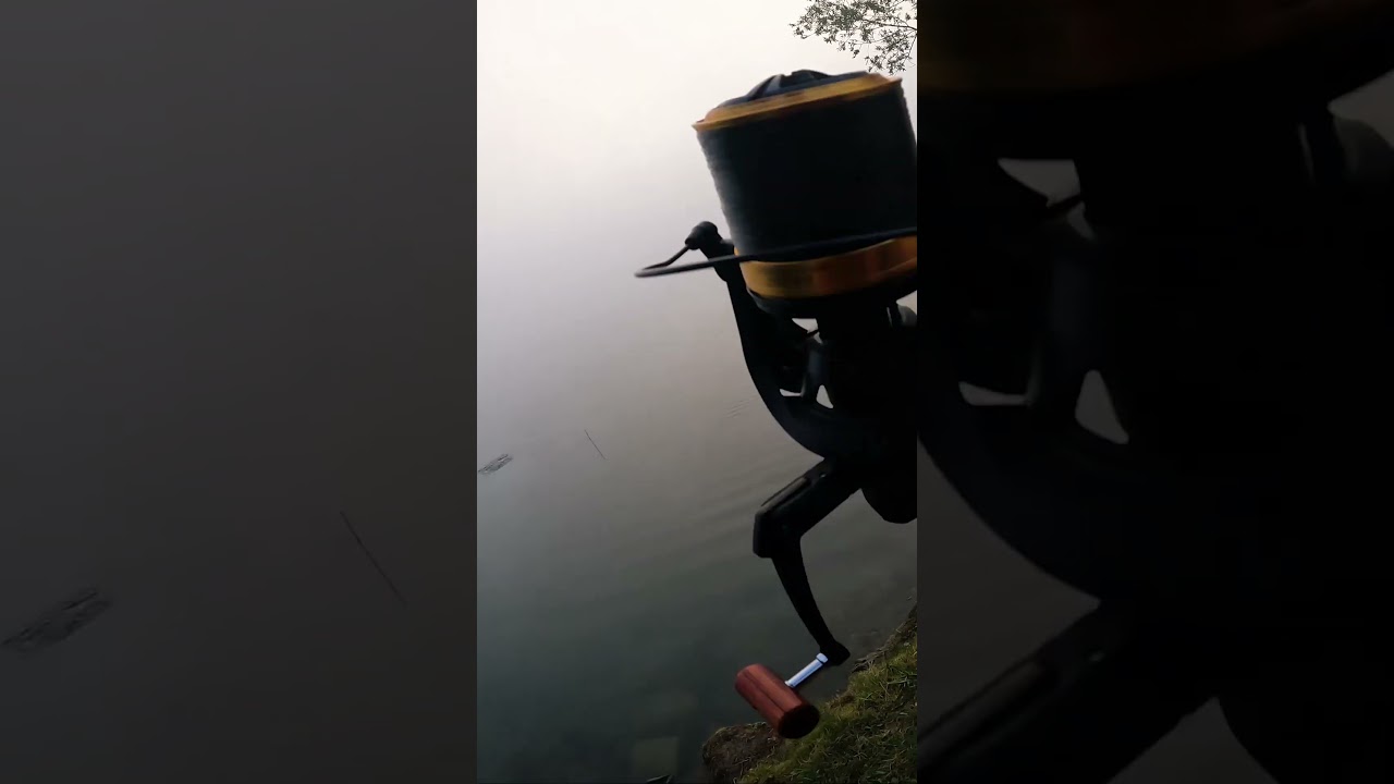 POV : tu fais ta 1ère carpe du Prunet ! 😎🔥