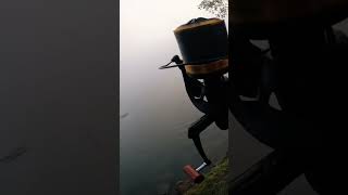 POV : tu fais ta 1ère carpe du Prunet ! 😎🔥
