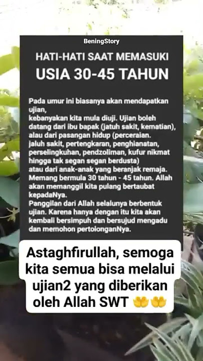 Mari Bertaubat