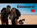 Pourquoi visiter essaouira au maroc  on continue notre road trip 