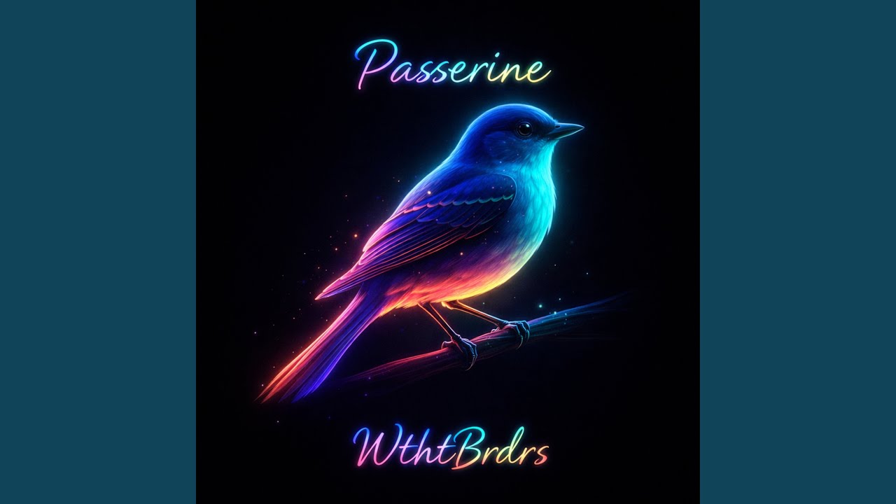 Passerine auf YouTube ansehen Passerine auf YouTube ansehen