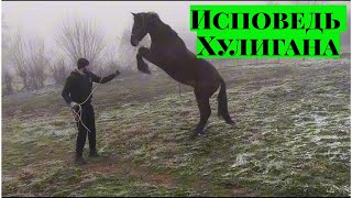 Обучение лошади / Лошадь встаёт на дыбы и кусается / кабардинская порода лошадей / M-H