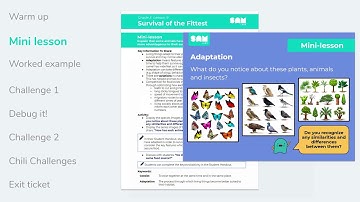 What does a STEAM lesson look like