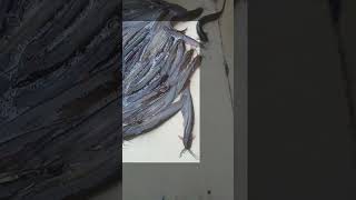 Unbelievable Shing Fish Speed Action Real Fish Movement #Shorts #fin_cuts_tv