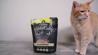 Vital Essentials Duck Dinner Patties Review (We Tried It)