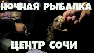 видео: Ночная рыбалка в центре Сочи картинка: Ночная рыбалка в центре Сочи