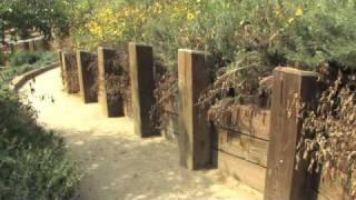 Crystal Cove Alliance and Crystal Cove Beach Cottages