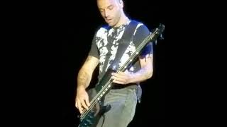 Muse Hysteria (bass riff) LIVE