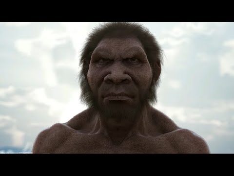Video: Verze: Homo Naledi Byl Degradovaný člověk A Předek Lidoopů? - Alternativní Pohled