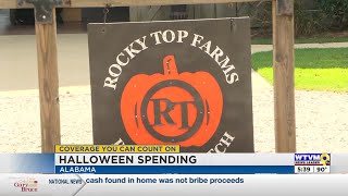 Owner of Rocky Top Farms works to keep prices affordable for the upcoming holiday season
