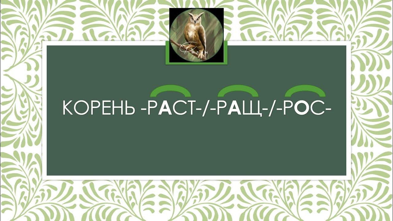 Рос рос и вырос. Чередование в корне раст ращ рос. росла расти как писать. кроссворд раст ращ рос.