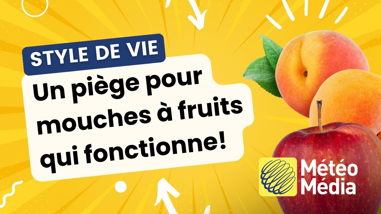 Piège à mouches à fruits de 30 pièces, piège à Algeria