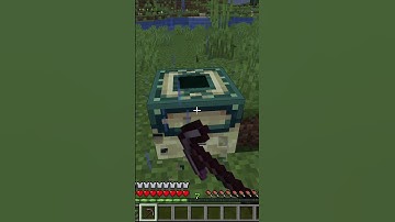 End Portal Frame Minecraft Fact you may not know #shorts #minecraft