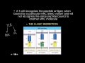 Immunology: MHC/HLA gene strucure and variaton