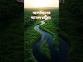 Save Amazon 🌿 Save Earth. আমাজান বাংলা ফ্যাক্টস ভিডিও। #WorldFacts #Facts #BanglaFacts #Amazing