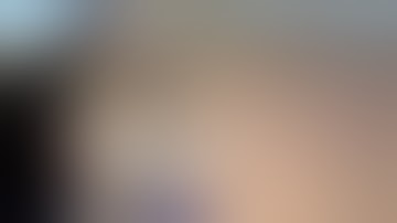 Fostech Echo trigger in retro ar15