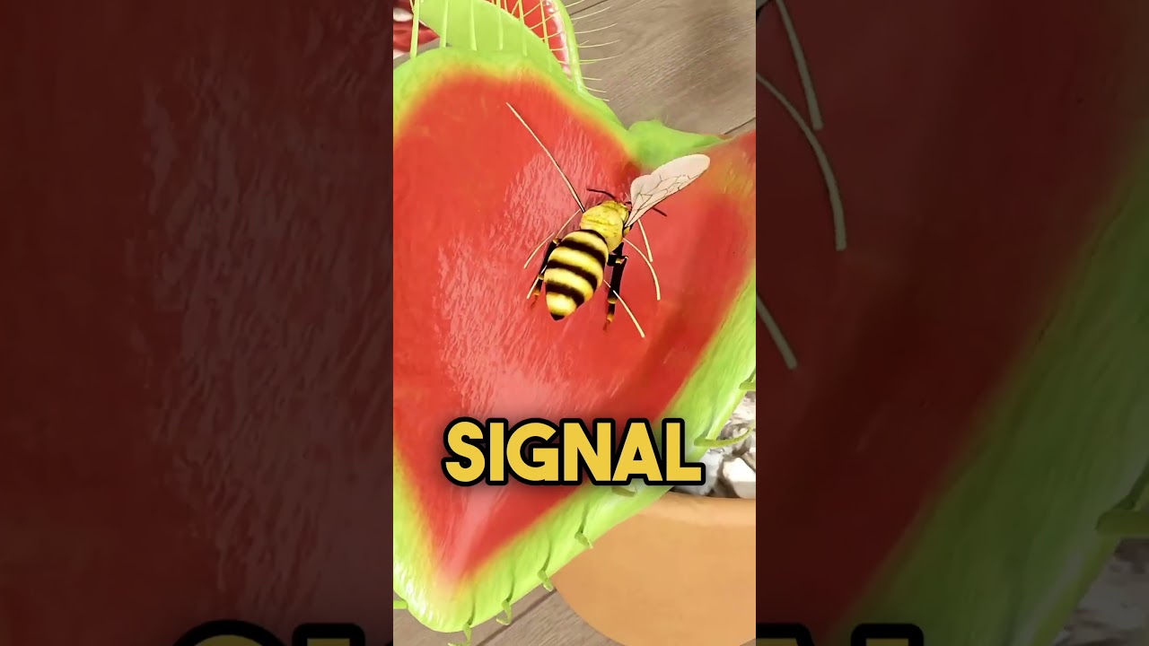 "Deadly Flora: Beware of This Plant That Can Kill You!"