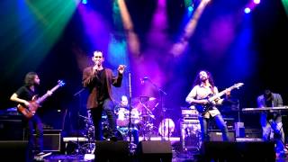 Distorted Harmony - Misguided Live @ De Cacaofabriek