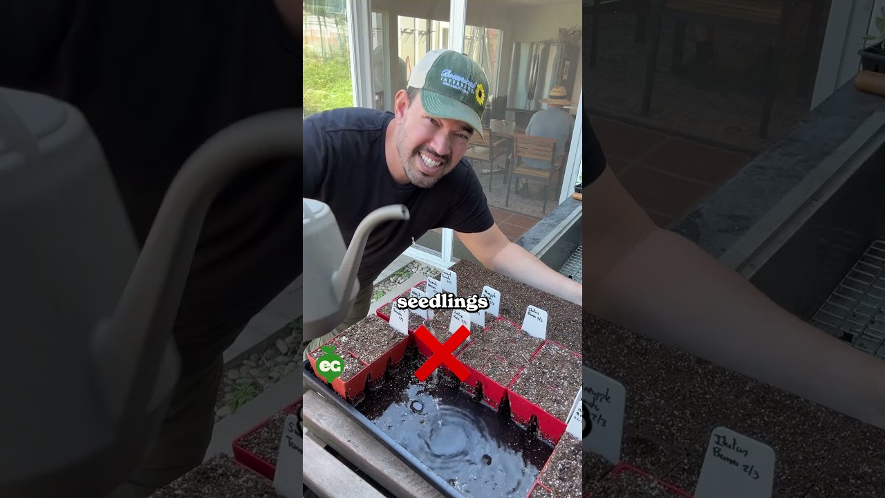 I debunked these seed starting myths…