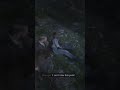 Last whiskey for the gentleman - RDR2