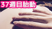 胎動