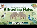 Animal Mating Adaptations Quiz
